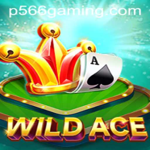 Discovering WildAce: The Innovative Card Game Revolution
